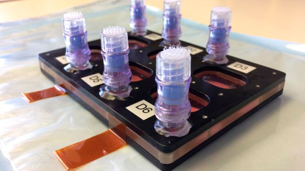 Образцы тканей, напечатанные на 3D-биопринтере BFF в космосе