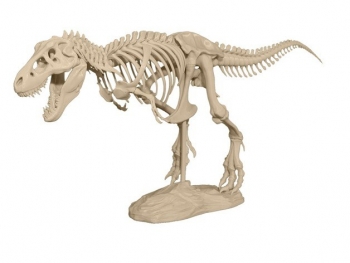 Динозавр T-Rex