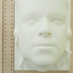 Лицо под проекцию