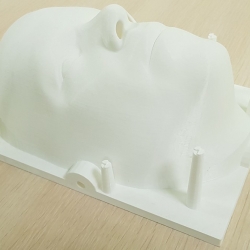 Лицо под проекцию