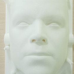 Лицо под проекцию