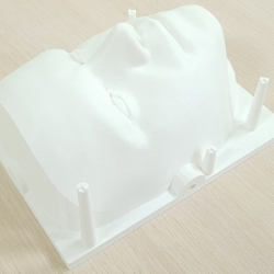 Лицо под проекцию