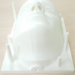 Лицо под проекцию