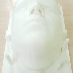 Лицо под проекцию