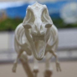 Динозавр T-Rex