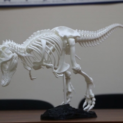 Динозавр T-Rex