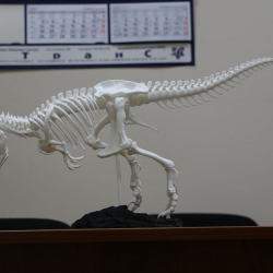 Динозавр T-Rex