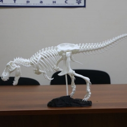 Динозавр T-Rex