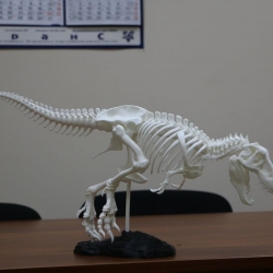 Динозавр T-Rex