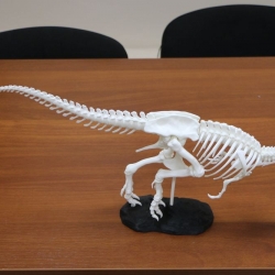 Динозавр T-Rex