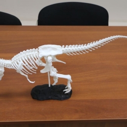 Динозавр T-Rex