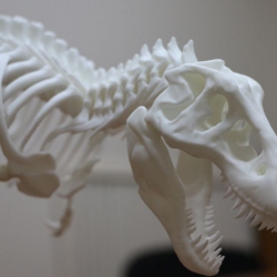 Динозавр T-Rex