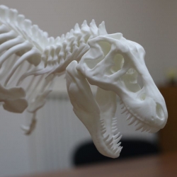 Динозавр T-Rex