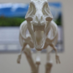 Динозавр T-Rex